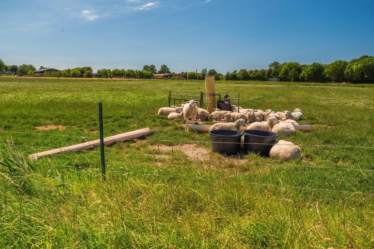 Vakantiewoning De Koekoek Aagtekerke Esterno foto